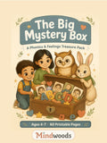 Big Mystery Box